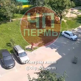 Проблемы с уборкой во дворе: дворник игнорирует свои обязанности