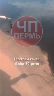 ЧП: Птицы в нефти на берегу Кондратовской школы требуют помощи