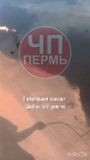 Нефтяное загрязнение у школы: волонтеры просят помощи для птиц