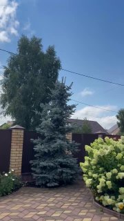 В Перми снова включили сирены по всем районам города
